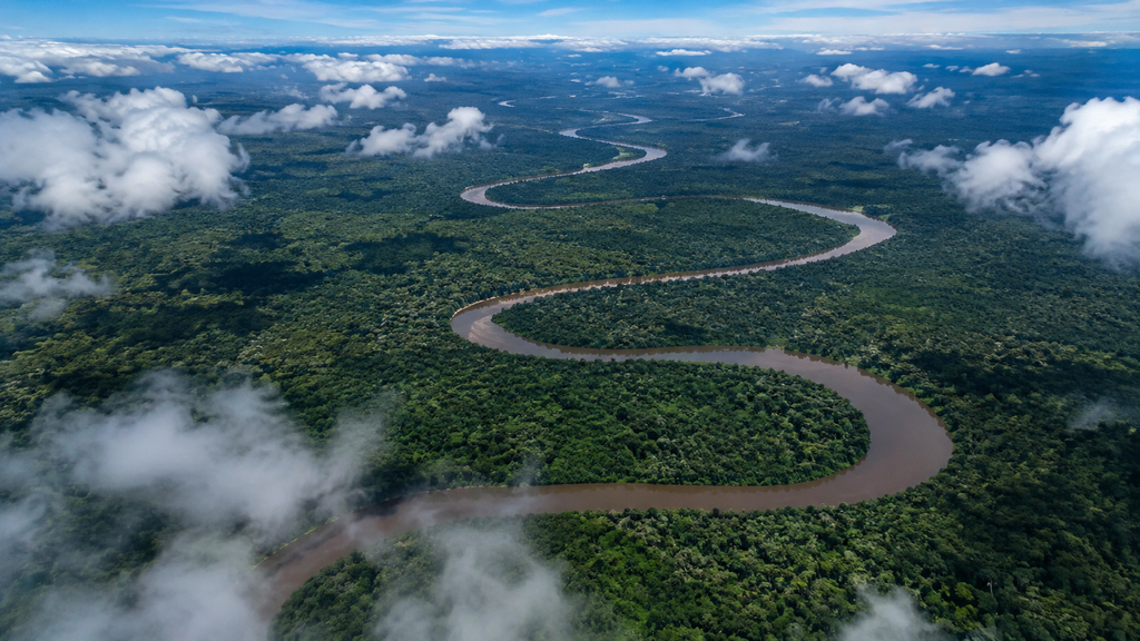 Imagem gerada artificialmente de uma foto aérea da floresta amazônica e um tortuoso rio.